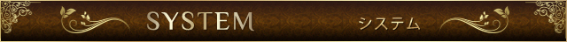 「System Title」